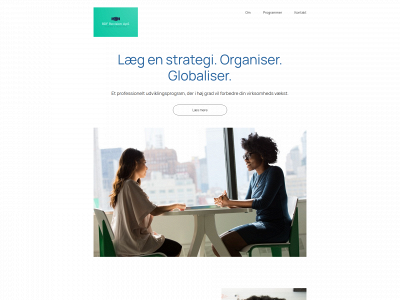bdf-revison.dk snapshot
