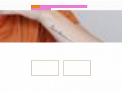 aykegubbels.be snapshot