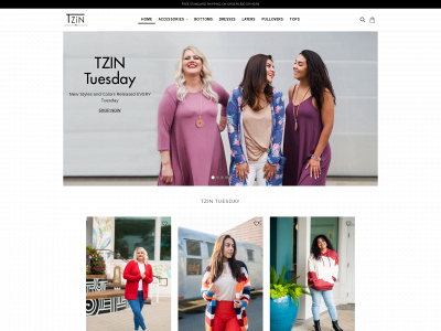 www.tzin.com snapshot