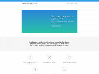 pliaukste.com snapshot