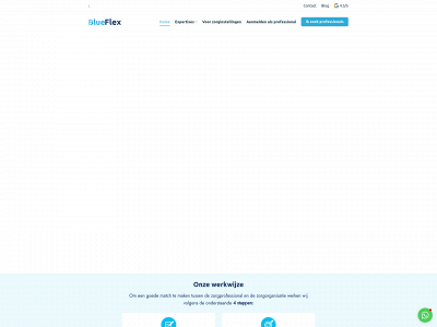 blue-flex.nl snapshot