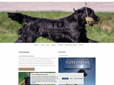 toffedreams.se snapshot