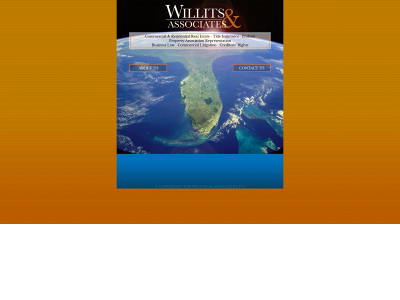 willitsandassociates.com snapshot