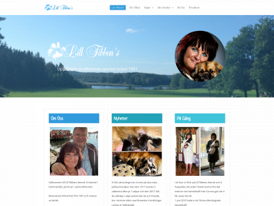 lilltibbens.se snapshot