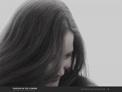 passioninthecorner.se snapshot