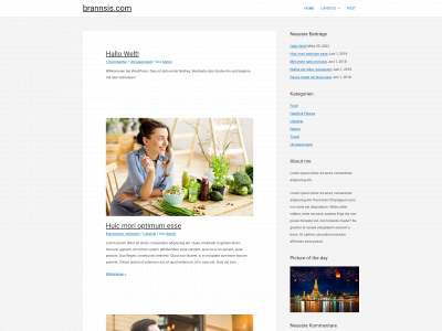 brannsis.com snapshot