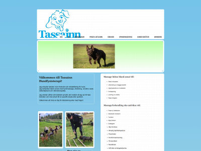 tassainn.se snapshot