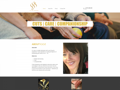 cccsurrey.co.uk snapshot
