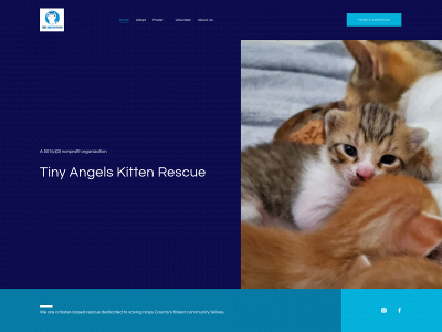 tinyangelskr.org snapshot