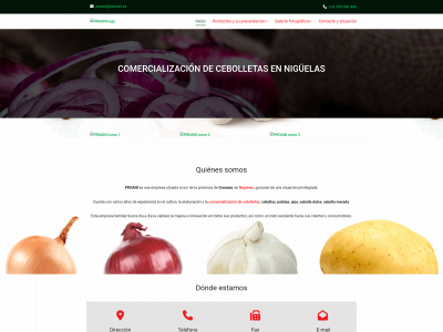 www.proani.es snapshot
