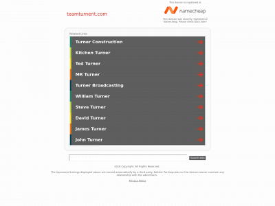 teamturnerit.com snapshot