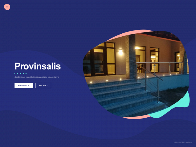provinsalis.lt snapshot