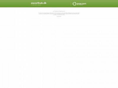 escorthub.dk snapshot