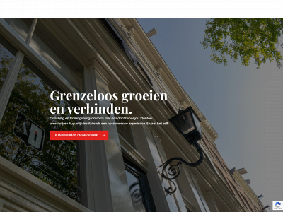 augustijninstitute.com snapshot