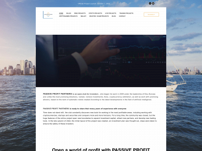 www.passiveprofitpartnersnow.com snapshot