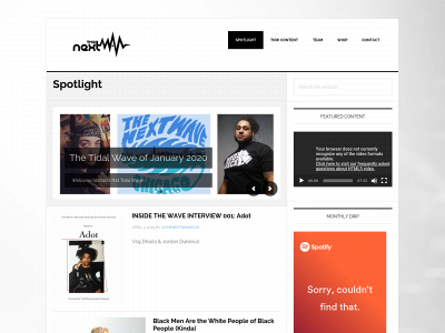 thenextwavechicago.com snapshot
