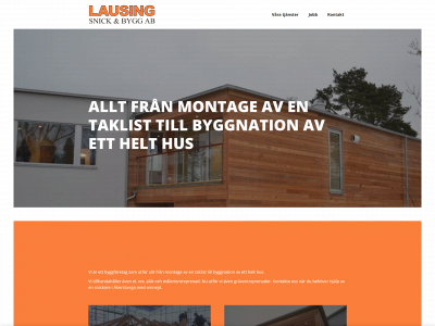 lausing.se snapshot