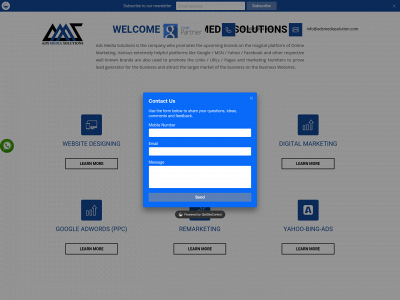 www.adsmediasolution.com snapshot