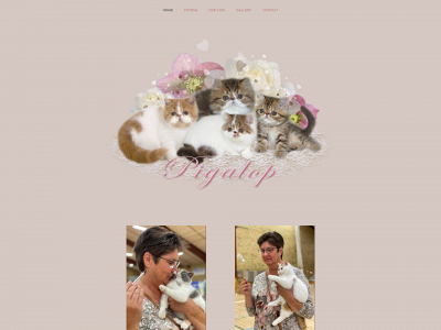 pigalop.com snapshot