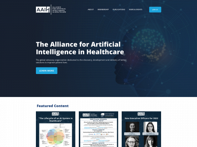 theaaih.org snapshot