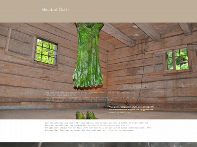 lisaosth.com snapshot