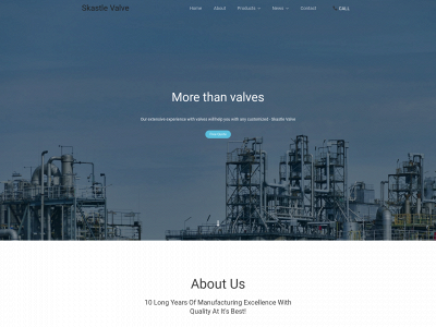 skastlevalve.com snapshot
