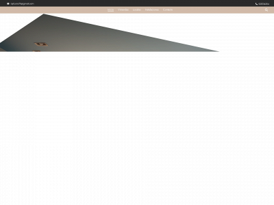 aytconstrucciones.es snapshot