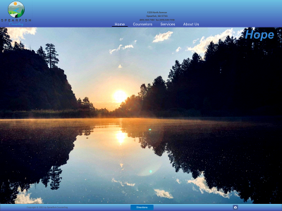 spearfishcounselingservices.com snapshot