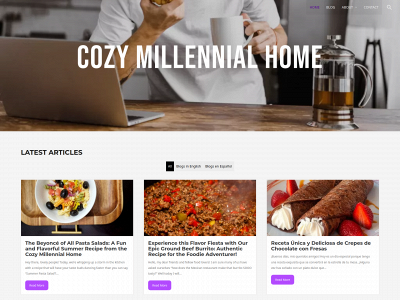 cozymillennialhome.com snapshot