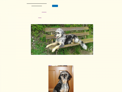 aussiedoodles-vom-kaiserhof.de snapshot