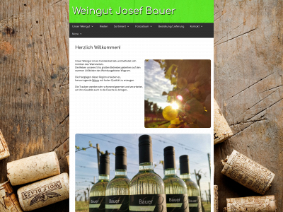 weingut-josefbauer.at snapshot
