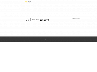 paybii.dk snapshot