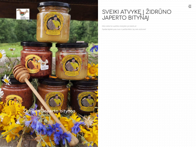 zidrunobitynas.lt snapshot