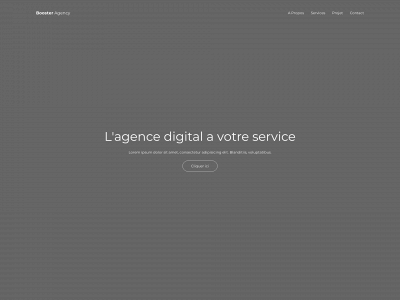 booster-digital-agency.com snapshot