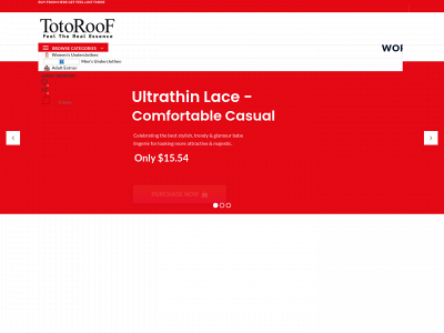 totoroof.com snapshot