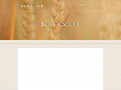 ricelab.weebly.com snapshot