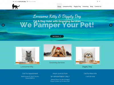 lonesomekitty.com snapshot