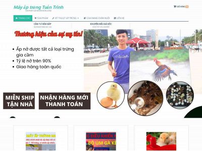 mayaptrungtuantrinh.com snapshot