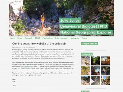 jollejolles.com snapshot