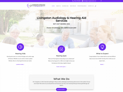 livingstonaud.com snapshot