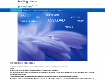 psicosit.es snapshot
