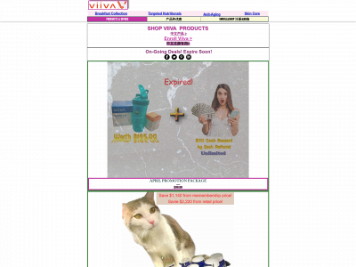 www.weviiva.com snapshot