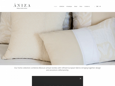 anizadesign.com snapshot