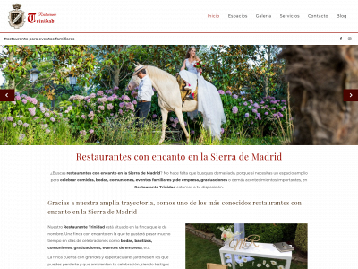restaurantetrinidad.es snapshot