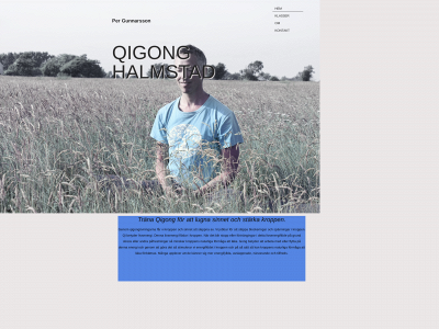 qigonghalmstad.se snapshot