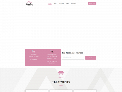revivetherapies.net snapshot