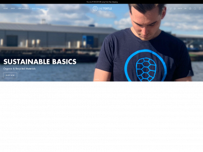 oneturtle.global snapshot