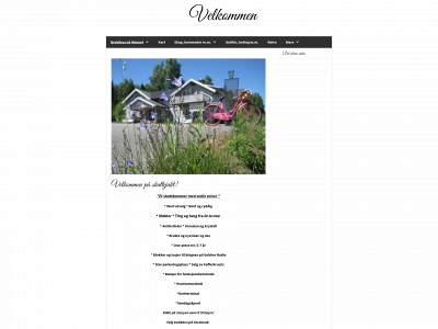 bruktbuapaahjornet.com snapshot
