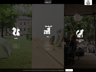 downtownforest.lt snapshot
