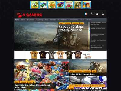 agamingwebsite.com snapshot